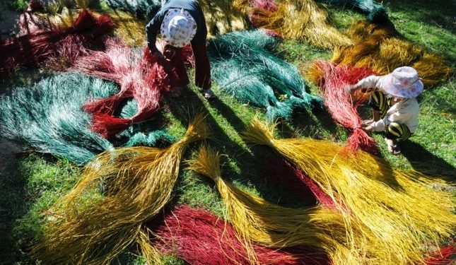 811kham Pha Lang Nghe Det Coi Kim Son Ninh Binh 1