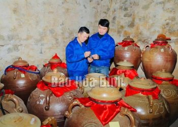 93 Hoa Binh Doc Dao Ruou Thoc Truc Son