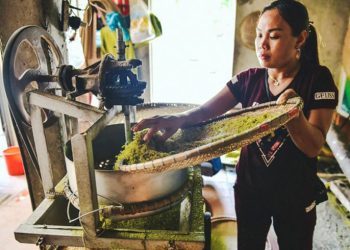 99ha Noi Ung Dung Cong Nghe Che Bien Vao Nghe Lam Com