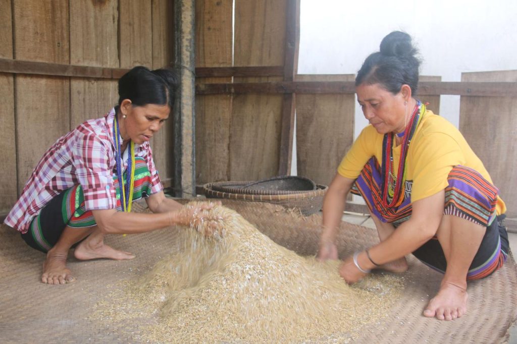 Ota Viet Nam 1 1516