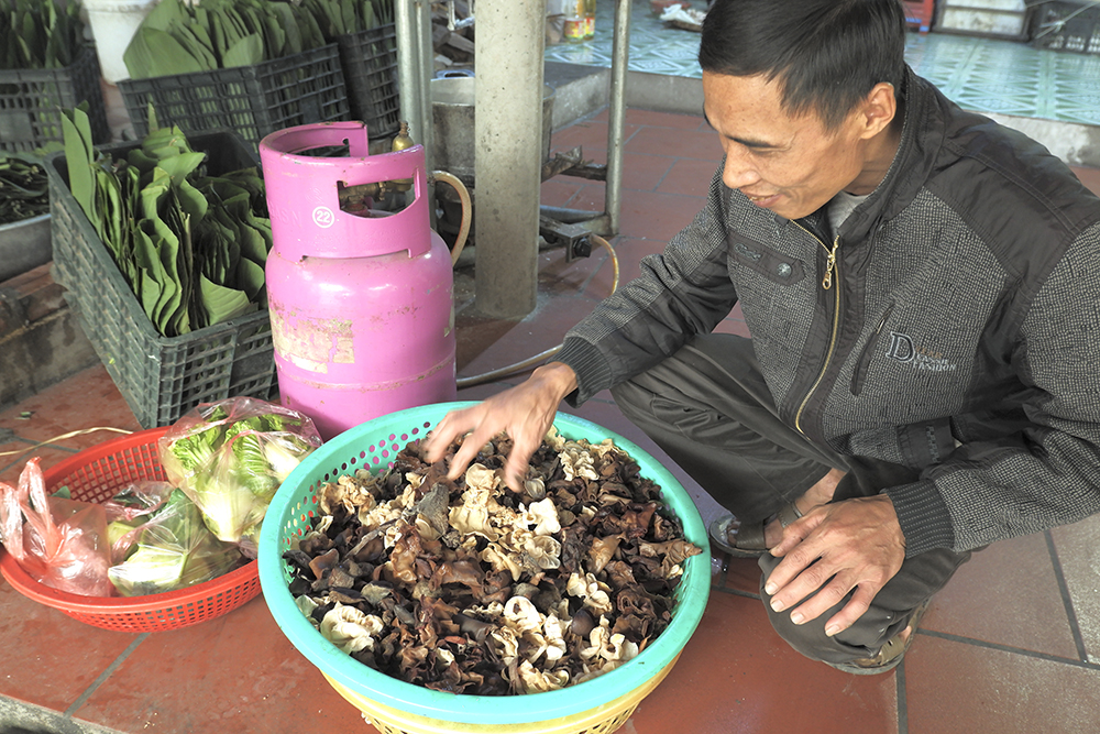Ota Viet Nam 1 1534