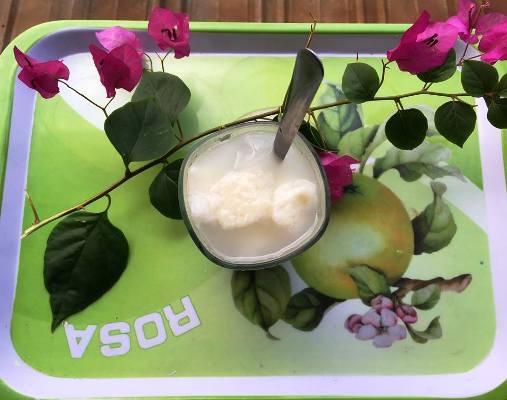 Ota Viet Nam 1 1540
