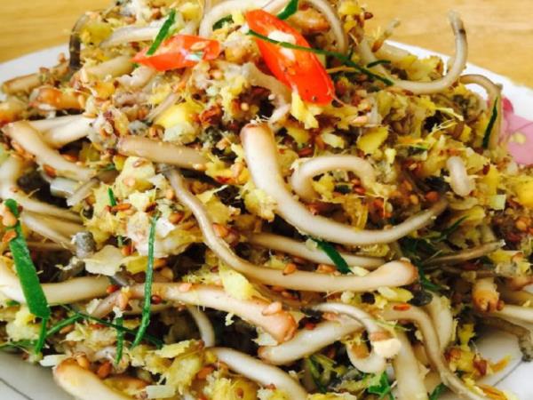 Ota Viet Nam 1 1543
