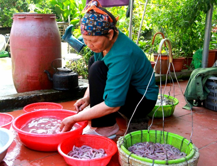 Ota Viet Nam 1 1549