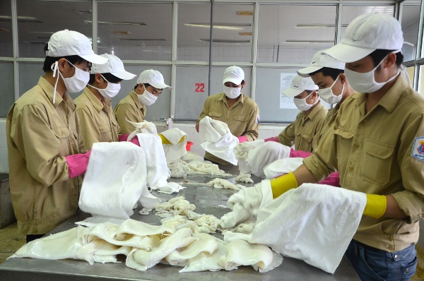 Ota Viet Nam 1 1551