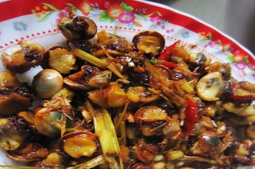 Ota Viet Nam 1 1615