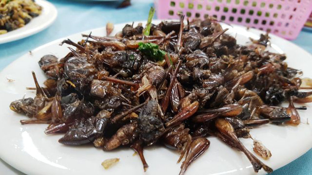 Ota Viet Nam 1 1637