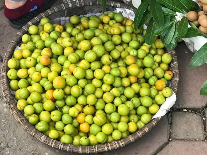 Ota Viet Nam 1 1664