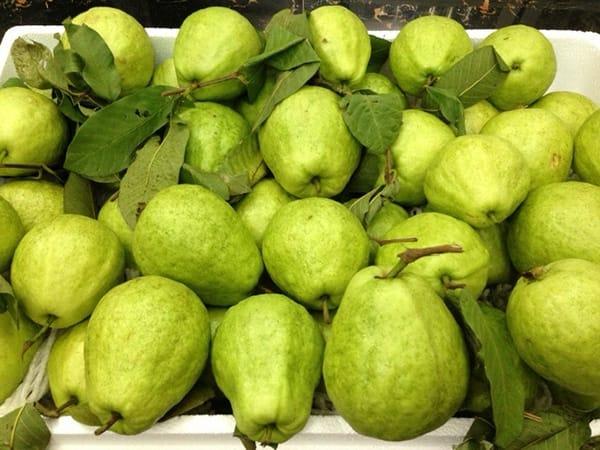 Ota Viet Nam 1 1671