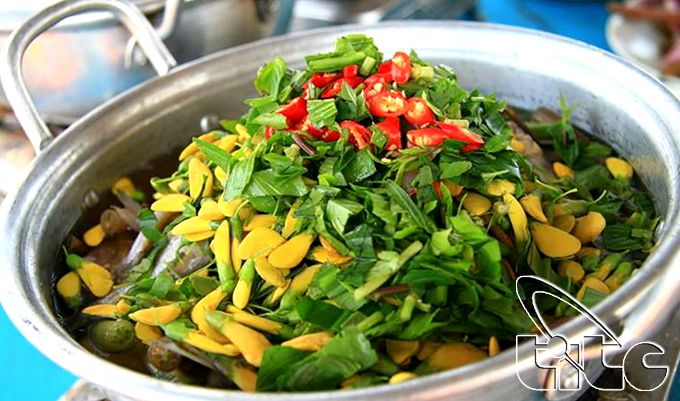 Ota Viet Nam 1 1681