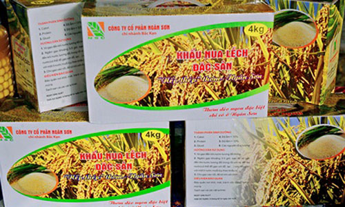 Ota Viet Nam 1 1695