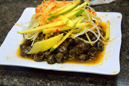Ota Viet Nam 1 17