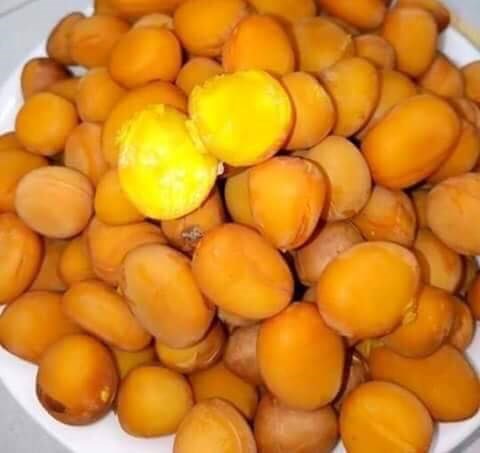 Ota Viet Nam 1 1705