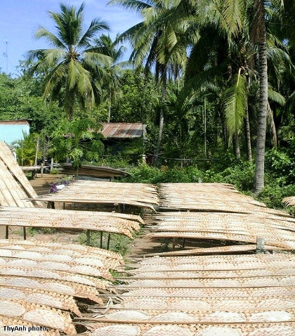 Ota Viet Nam 1 1708