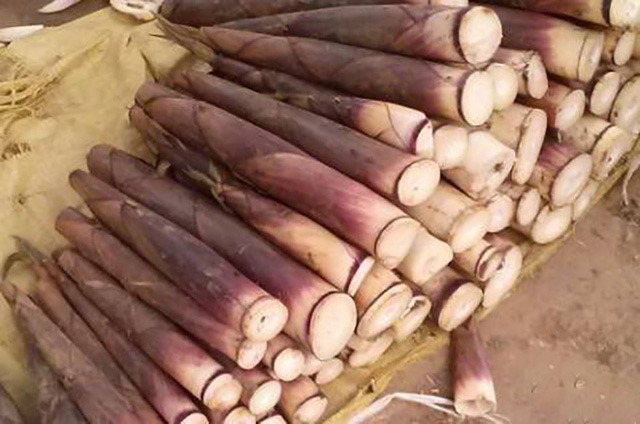 Ota Viet Nam 1 1747