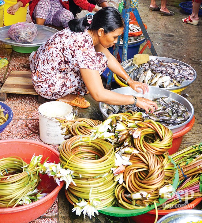 Ota Viet Nam 1 1760