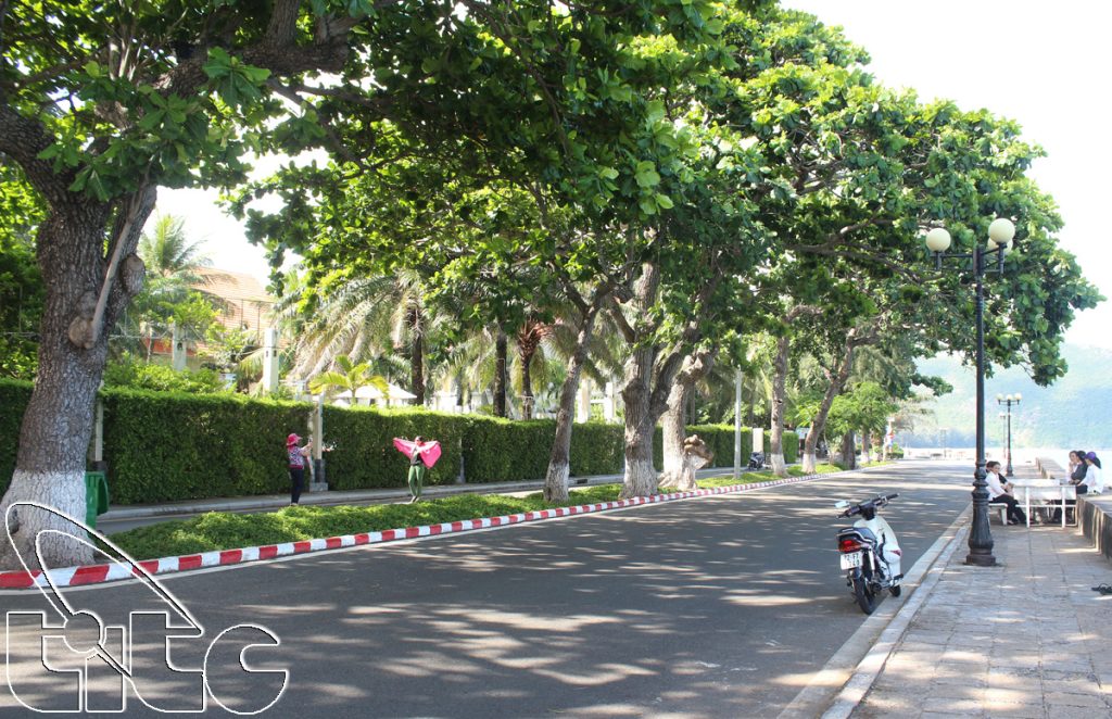 Ota Viet Nam 1 1800