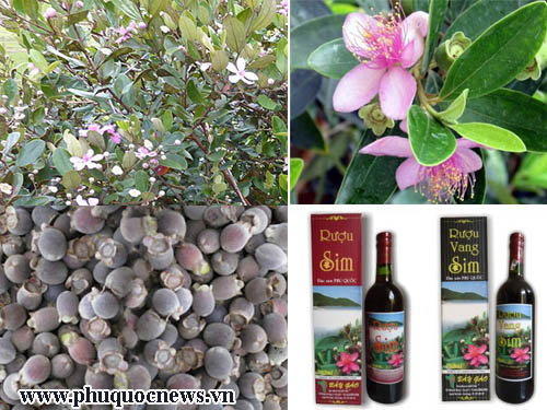 Ota Viet Nam 1 1801