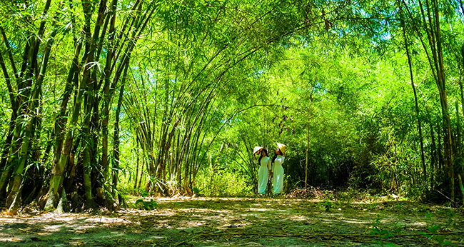 Ota Viet Nam 1 188