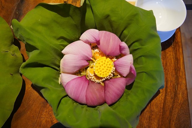 Ota Viet Nam 1 224