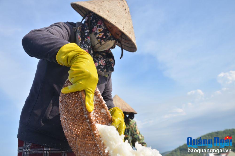 Ota Viet Nam 1 248