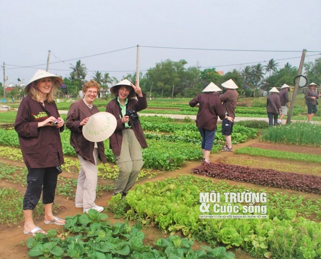 Ota Viet Nam 1 253