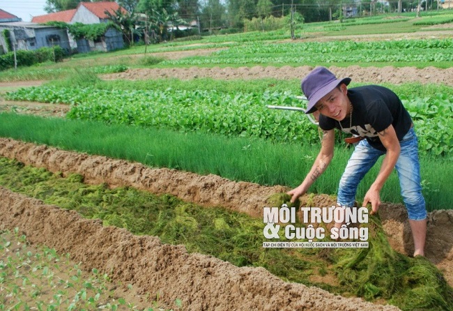 Ota Viet Nam 1 255