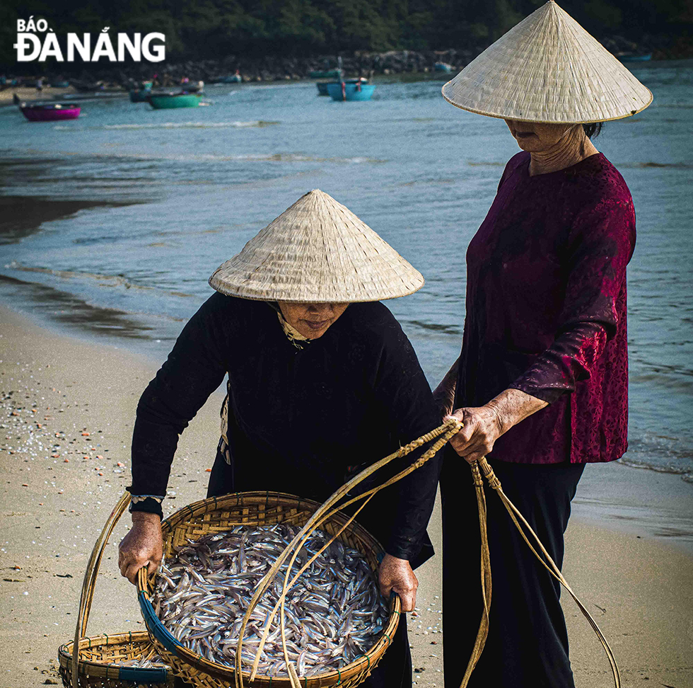 Ota Viet Nam 1 260