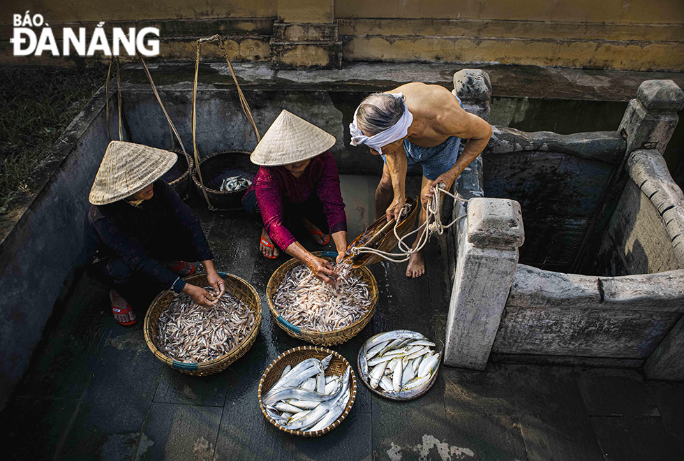 Ota Viet Nam 1 261