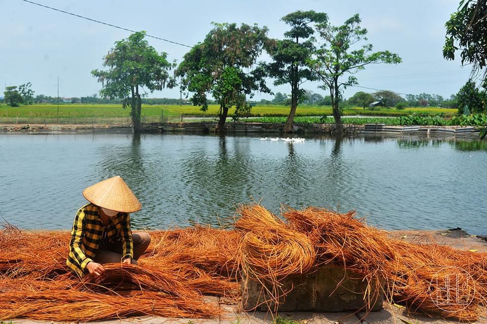 Ota Viet Nam 1 271