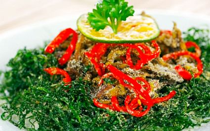 Ota Viet Nam 1 281