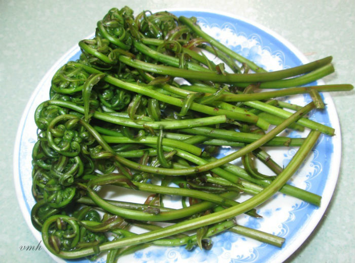 Ota Viet Nam 1 3