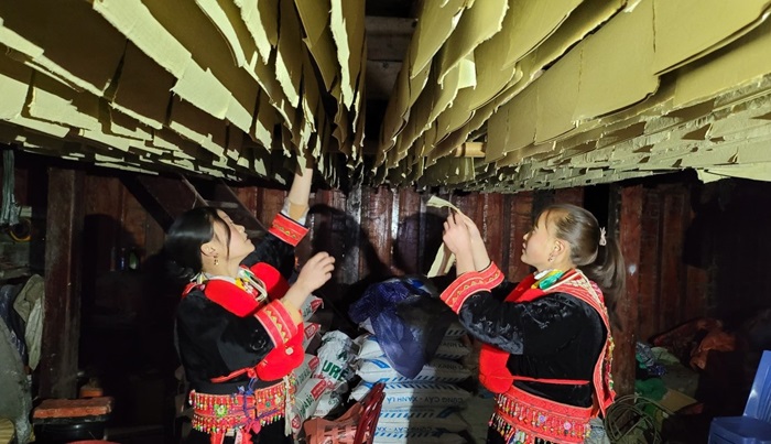 Ota Viet Nam 1 3