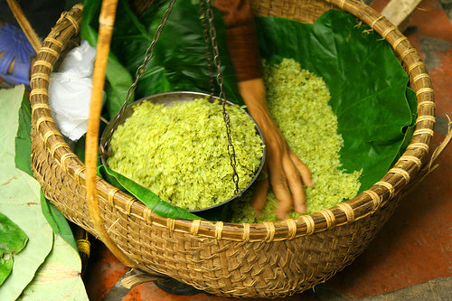 Ota Viet Nam 1 303