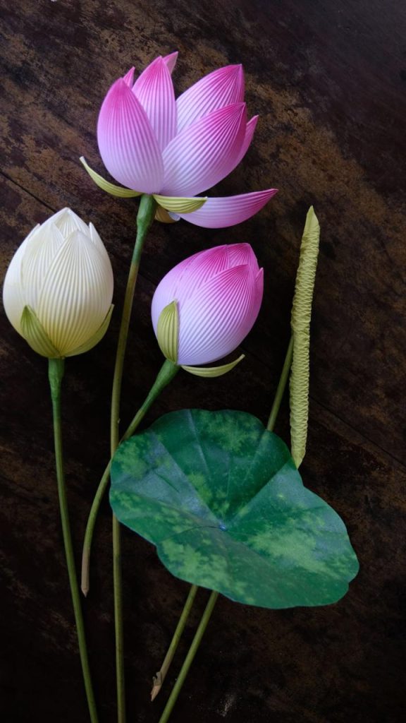Ota Viet Nam 1 310