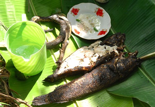 Ota Viet Nam 1 317