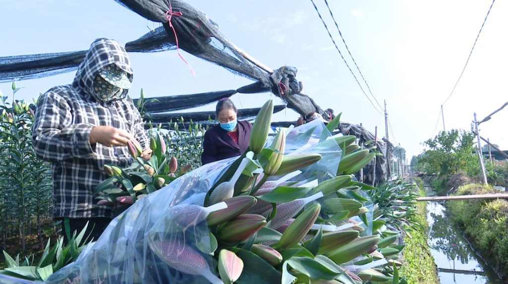 Ota Viet Nam 1 334