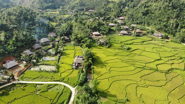 Ota Viet Nam 1 346