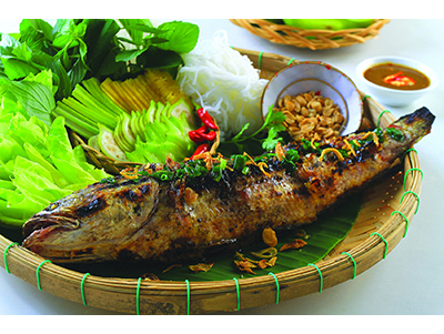 Ota Viet Nam 1 355
