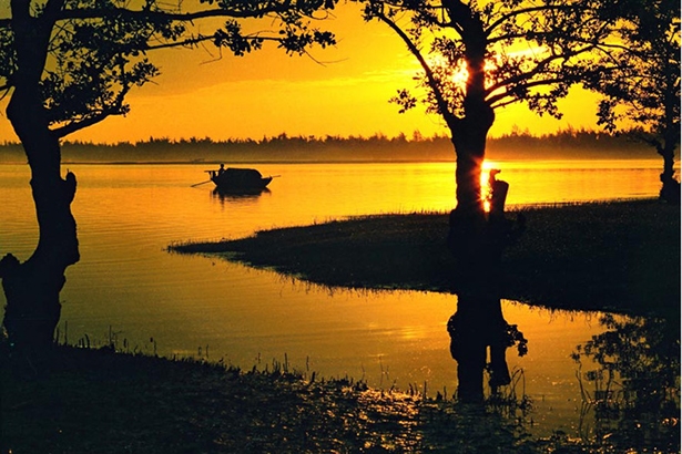 Ota Viet Nam 1 369