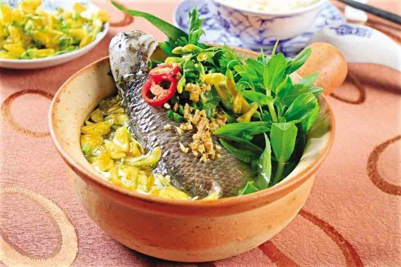 Ota Viet Nam 1 4