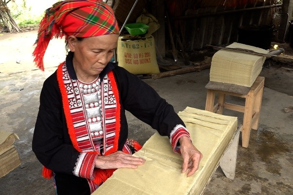 Ota Viet Nam 1 4