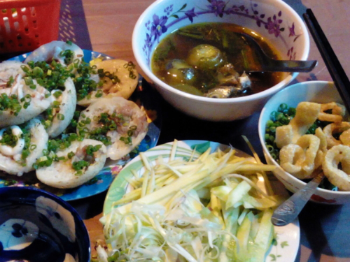 Ota Viet Nam 1 483