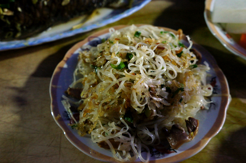 Ota Viet Nam 1 495
