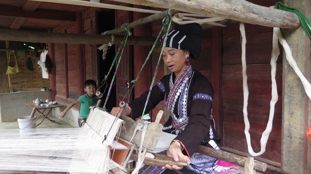 Ota Viet Nam 1 498