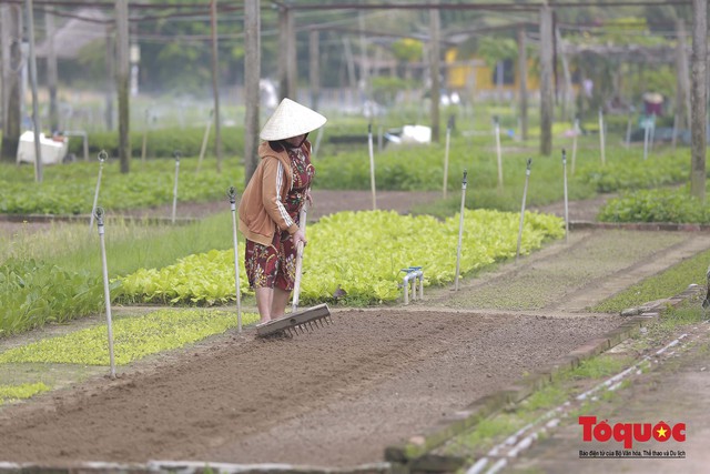 Ota Viet Nam 1 5