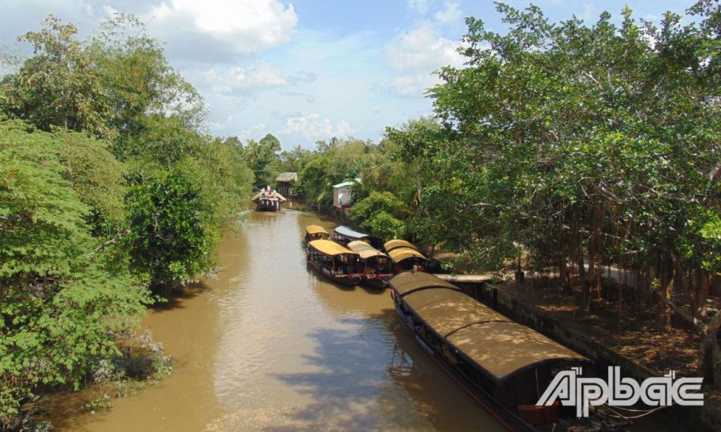 Ota Viet Nam 1 503