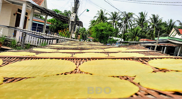 Ota Viet Nam 1 509