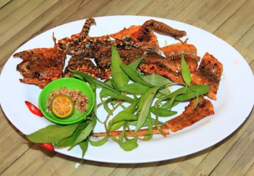 Ota Viet Nam 1 515