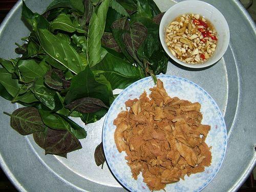 Ota Viet Nam 1 519